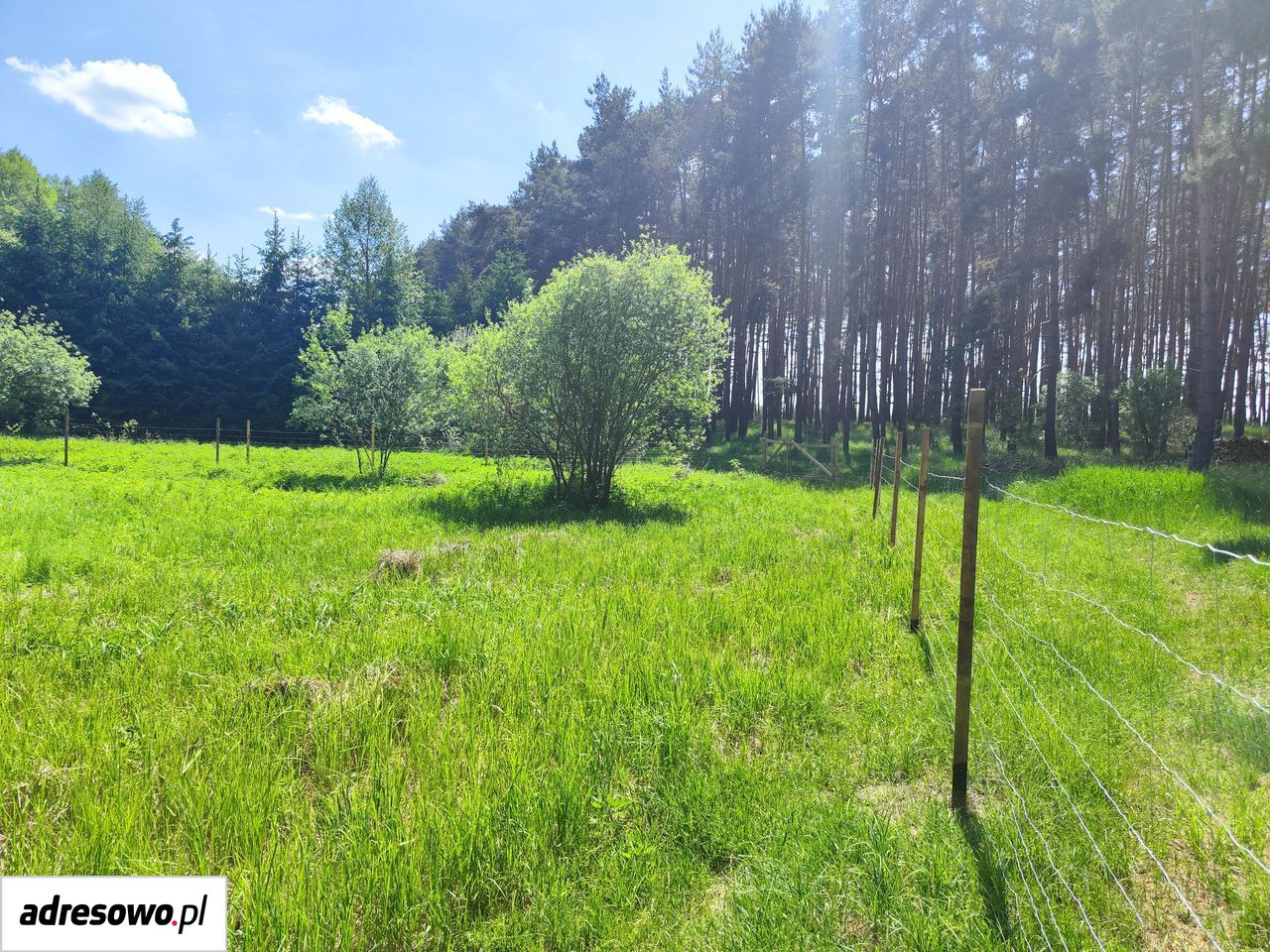 Działka rolna Lgiń. Zdjęcie 5