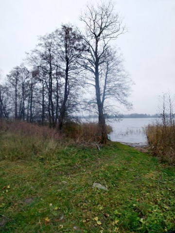 Działka rolna Worławki. Zdjęcie 1