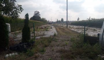 Działka inwestycyjna Wierzbna. Zdjęcie 5
