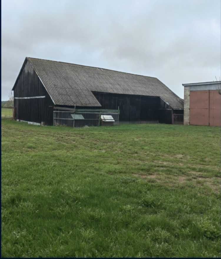 gospodarstwo Zawady. Zdjęcie 7