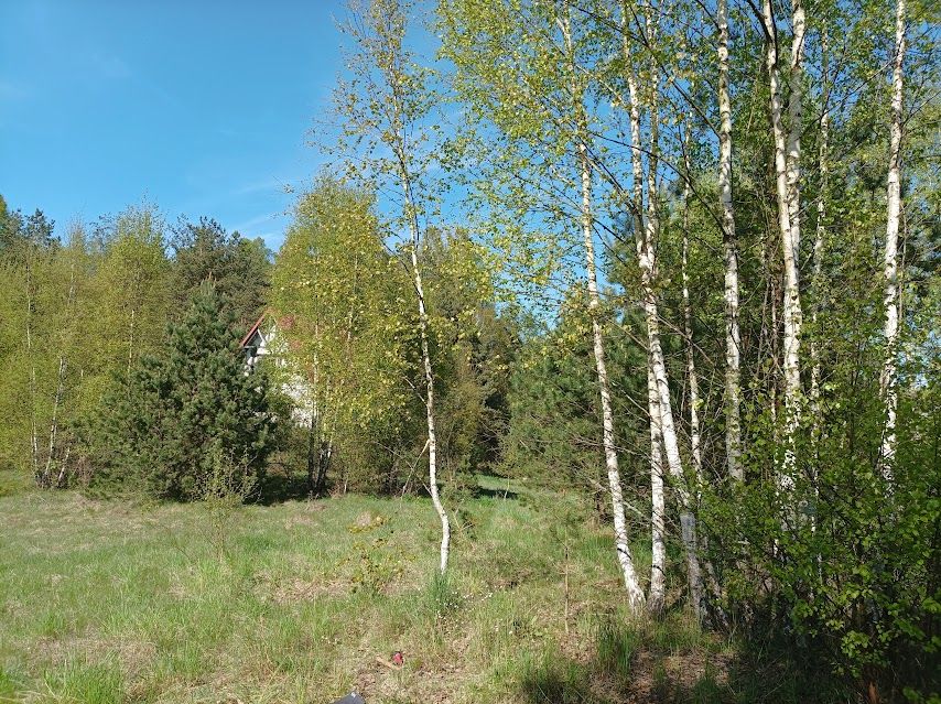 Działka budowlana Stara Sikorska Huta. Zdjęcie 3