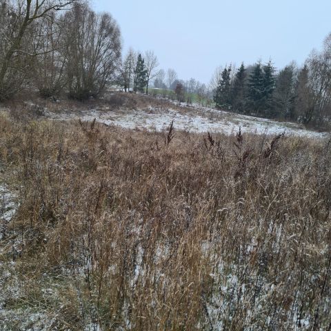 Działka rolna Karwie. Zdjęcie 7
