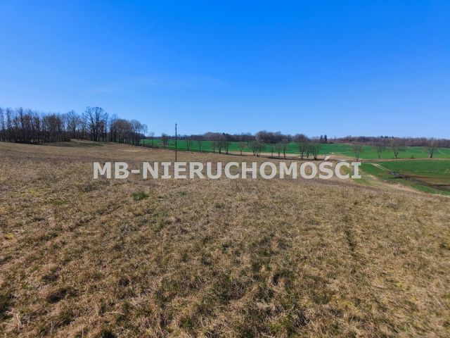 Działka rolna Parcz. Zdjęcie 12