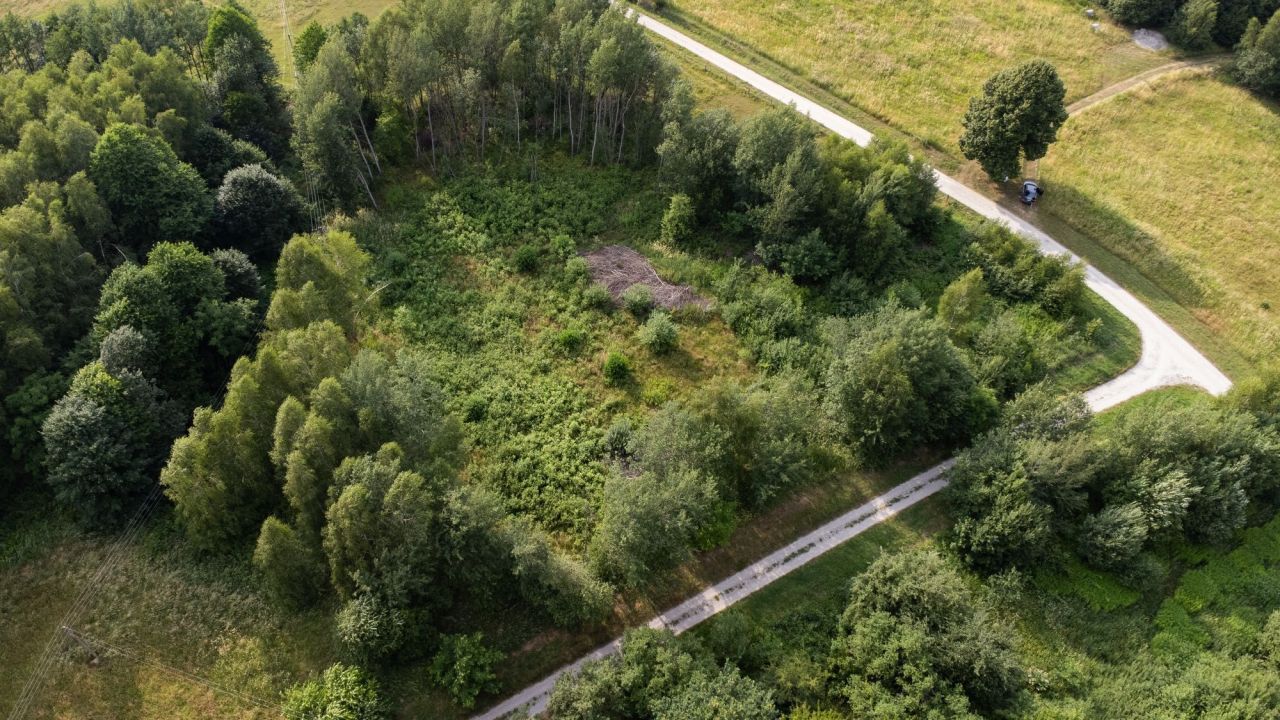 Działka rolna Nowy Borek. Zdjęcie 4