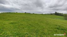 Działka siedliskowa Trojanowice, ul. Miechowska. Zdjęcie 1