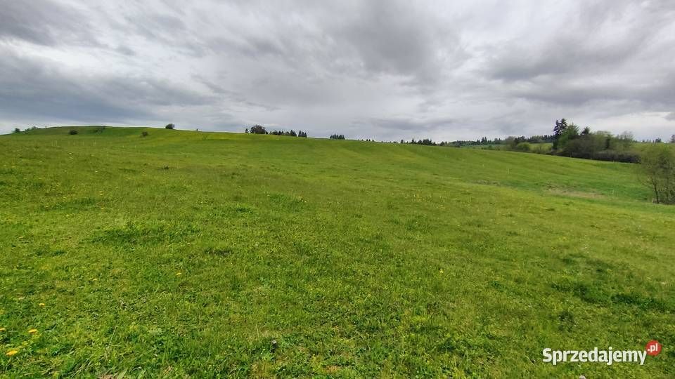 Działka siedliskowa Trojanowice, ul. Miechowska. Zdjęcie 2