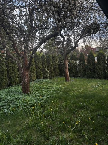 Działka rekreacyjna Poznań, ul. Bukowska. Zdjęcie 1