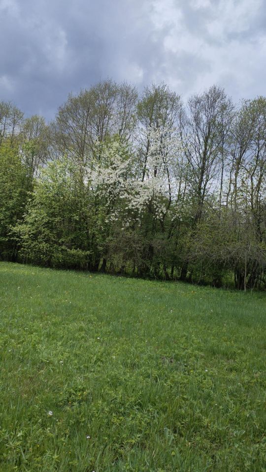 Działka budowlana Pisarzowice. Zdjęcie 2