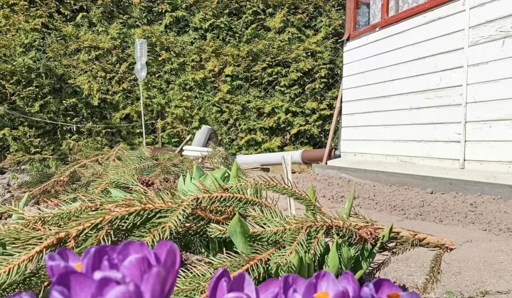 Działka rod Skierniewice, ul. Miedniewicka