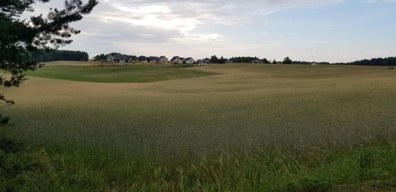 Działka rolno-budowlana Skarszewy, ul. Nad Stawem. Zdjęcie 5