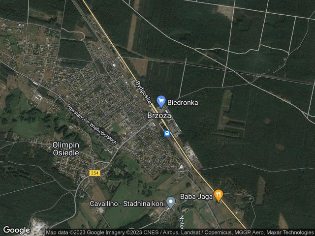 dom wolnostojący Brzoza. Zdjęcie 1