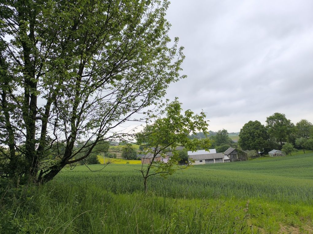 gospodarstwo Sułowiec. Zdjęcie 6