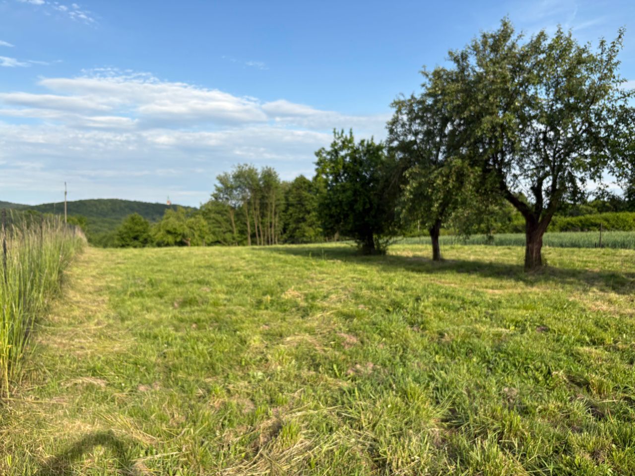 Działka rolno-budowlana Kwaczała. Zdjęcie 6