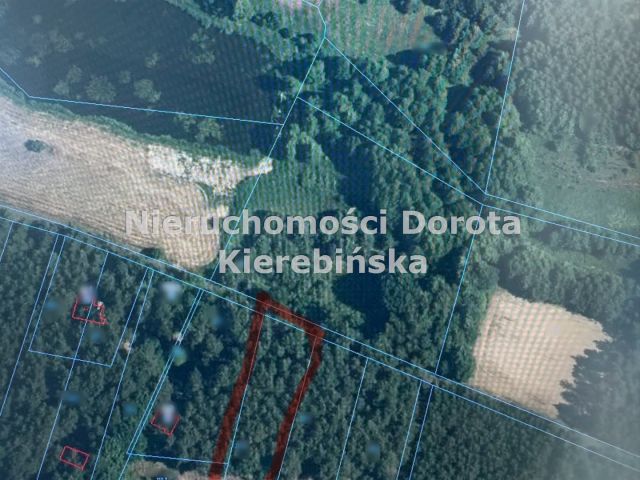 Działka rolna Stefanów. Zdjęcie 15