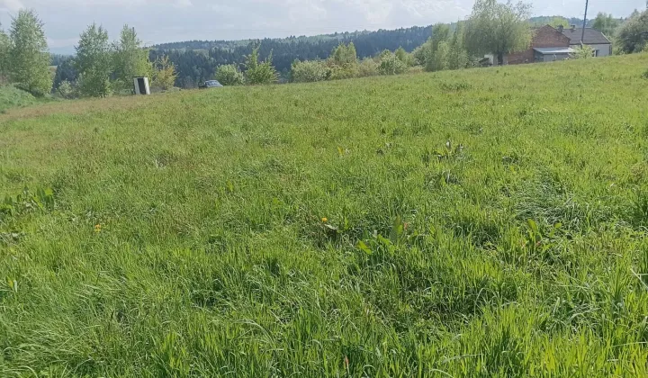 Działka budowlana Święcany