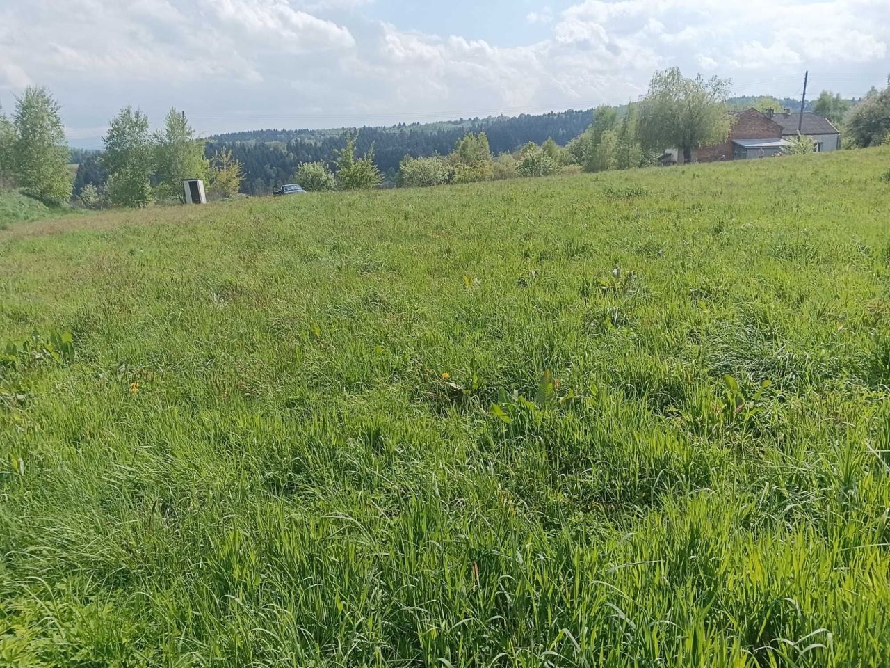 Działka budowlana Święcany