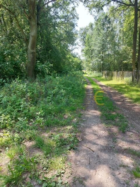 Działka budowlana Popielarze, Popielarze. Zdjęcie 12