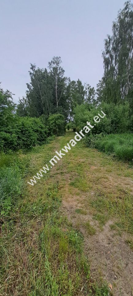 Działka budowlana Stara Wieś, ul. Olchowa. Zdjęcie 16
