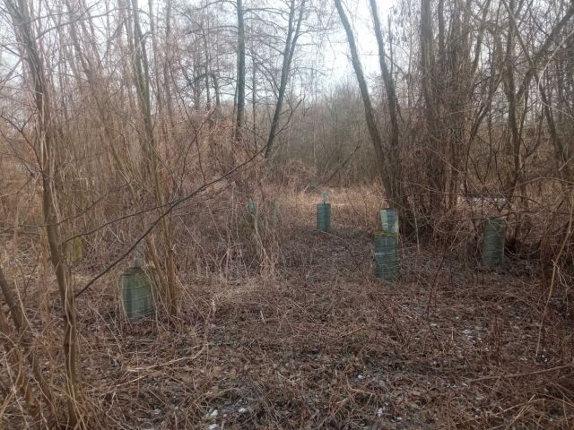 Działka rekreacyjna Kornie. Zdjęcie 1