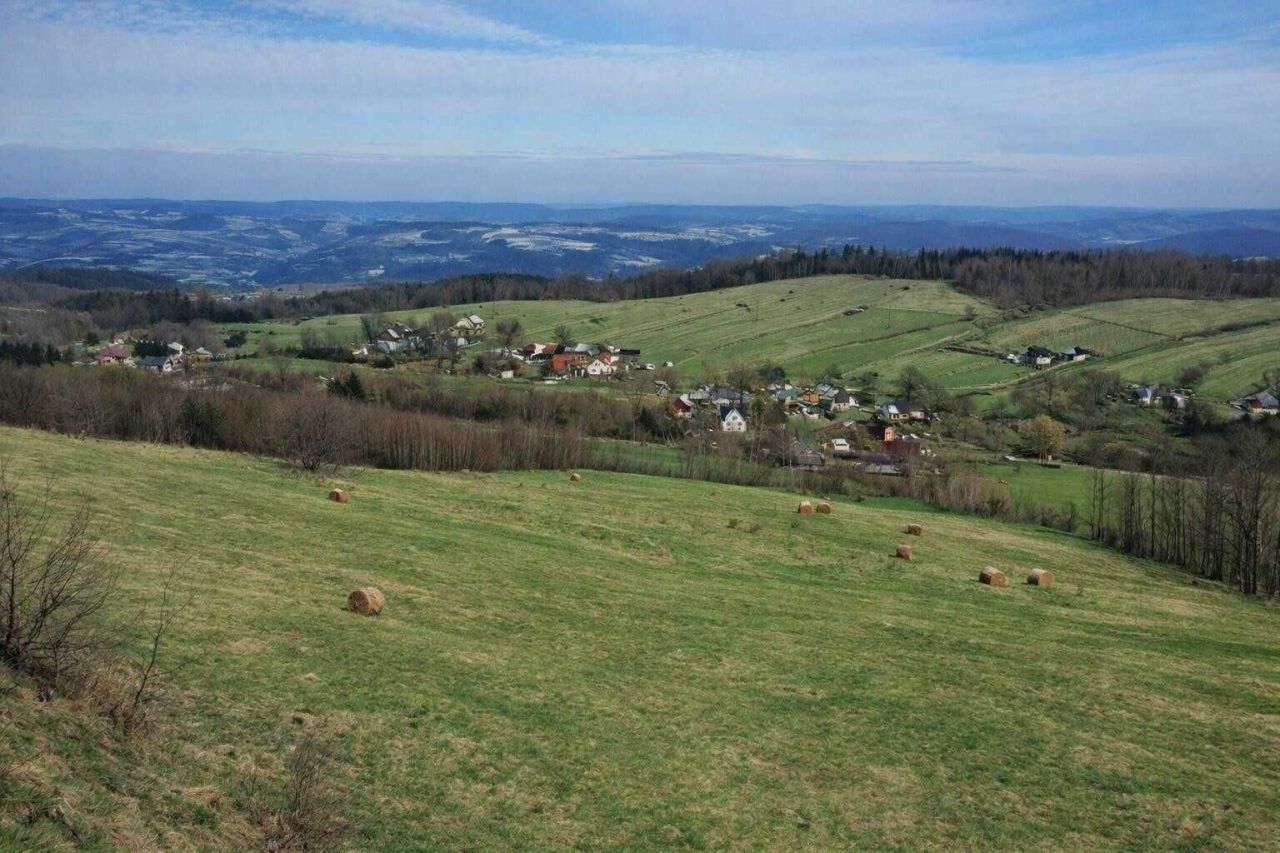 Działka rolna Skrzętla-Rojówka. Zdjęcie 4