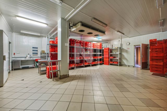 Lokal Wołomin, ul. 1 Maja. Zdjęcie 10