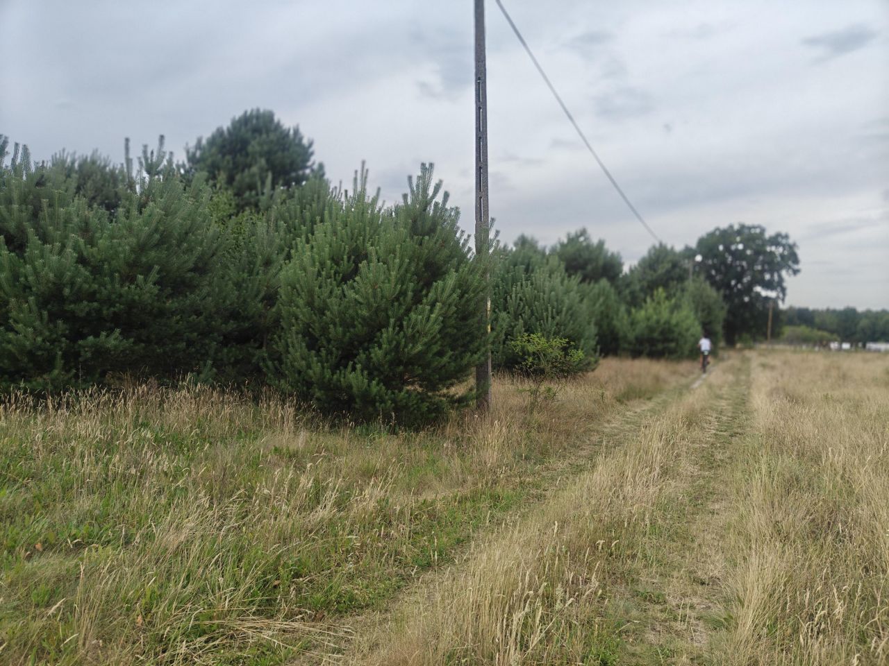 Działka budowlana Rąpin. Zdjęcie 14