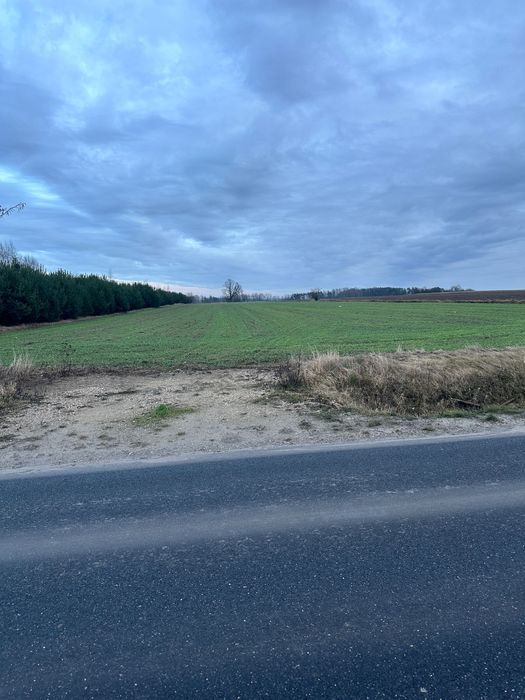 Działka inwestycyjna Dębowa Góra. Zdjęcie 4