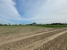 Działka budowlana Strykowo, ul. Spacerowa. Zdjęcie 2