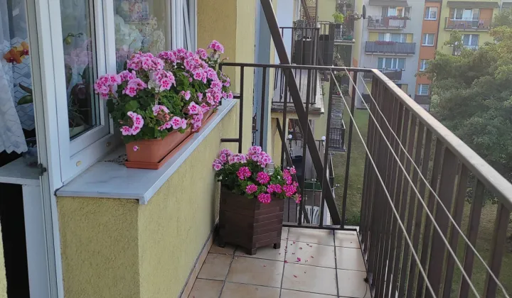 Mieszkanie 3-pokojowe Ruda Śląska Godula, ul. Przedszkolna