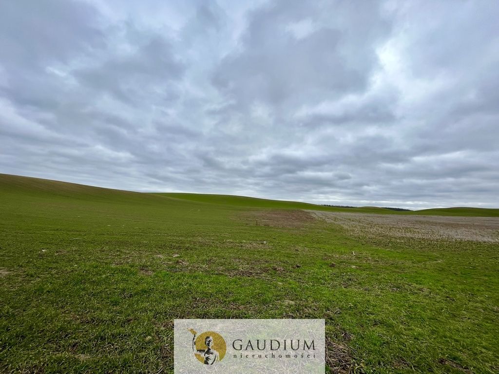 Działka Lubiszewo Tczewskie. Zdjęcie 4