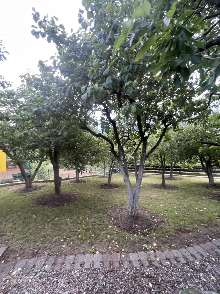 Działka rod Wieniec-Zalesie Dziadowo-Folwark, ul. Zdrojowa. Zdjęcie 2