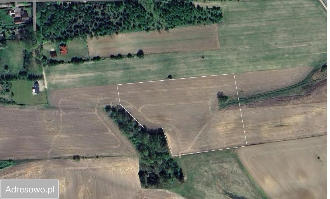 Działka budowlana Starbienino. Zdjęcie 4