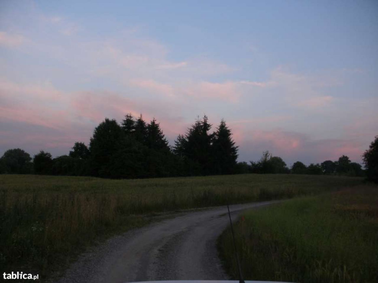 Działka rolna Płouszowice-Kolonia. Zdjęcie 2