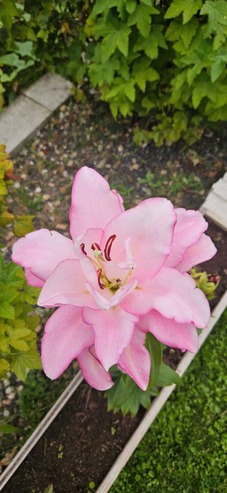 Działka rod Białystok Dojlidy. Zdjęcie 2