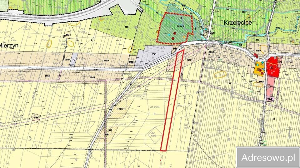 Działka siedliskowa Mierzyn. Zdjęcie 4