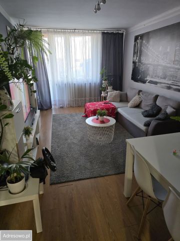 Mieszkanie 3-pokojowe Krasnystaw, ul. Okrzei. Zdjęcie 1