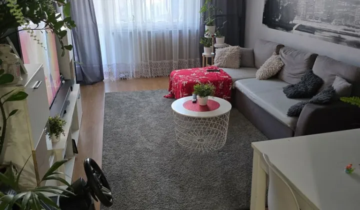 Mieszkanie 3-pokojowe Krasnystaw, ul. Okrzei