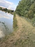 Działka Wojciechów. Zdjęcie 3