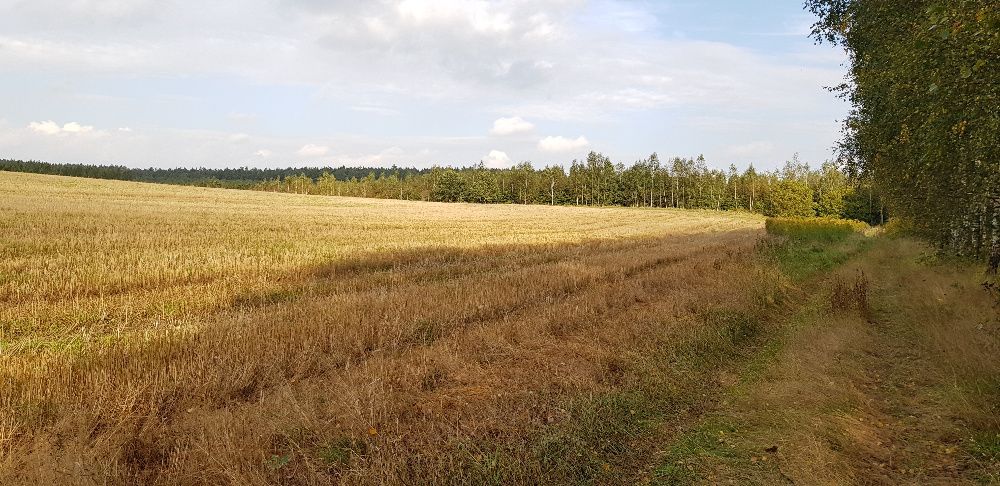 Działka rolna Rakowieckie Pole. Zdjęcie 5