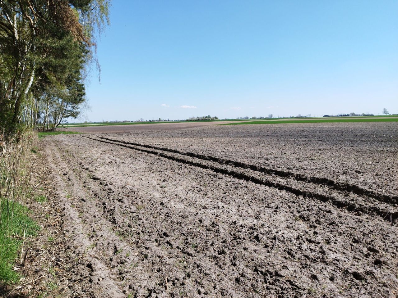 Działka rolna Agnieszkowo. Zdjęcie 1