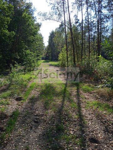 Działka budowlana Chotomów. Zdjęcie 2