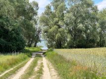 Działka budowlana Wylazłów. Zdjęcie 2