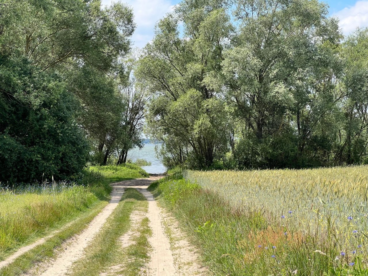 Działka budowlana Wylazłów. Zdjęcie 3