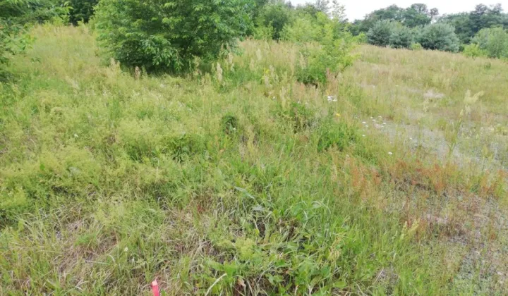 Działka inwestycyjna Skierniewice