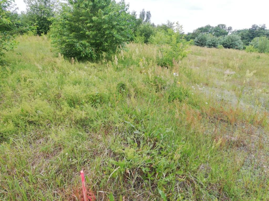 Działka inwestycyjna Skierniewice