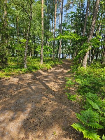 Działka budowlana Niedalino. Zdjęcie 1