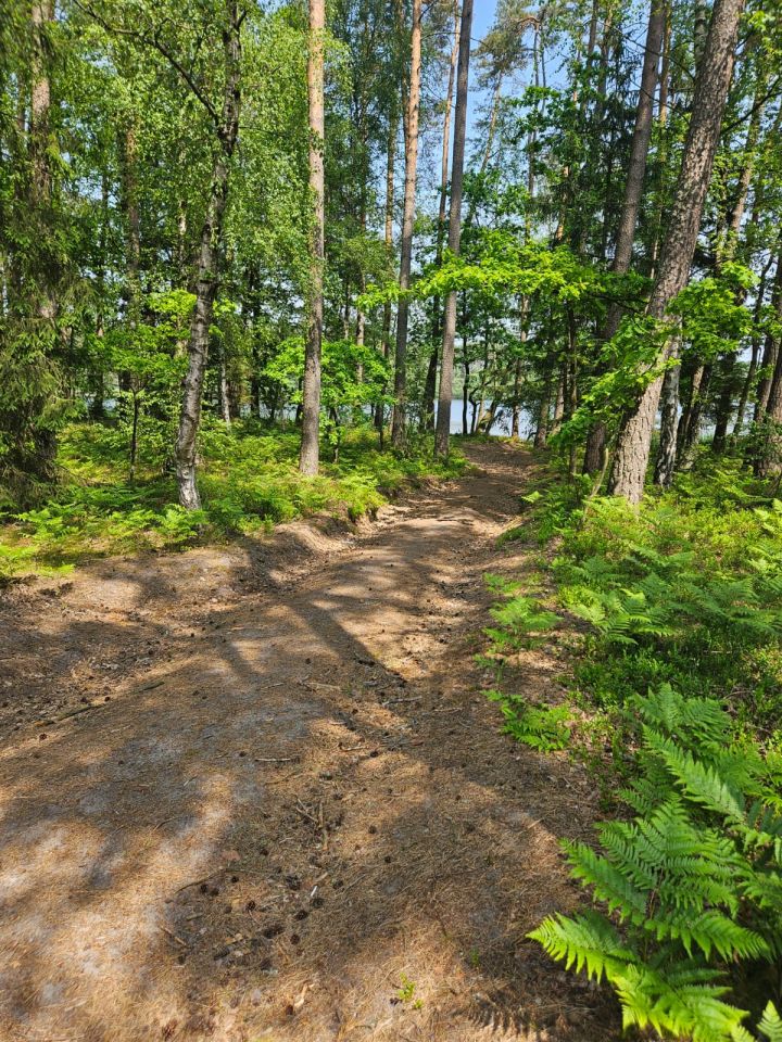 Działka budowlana Niedalino
