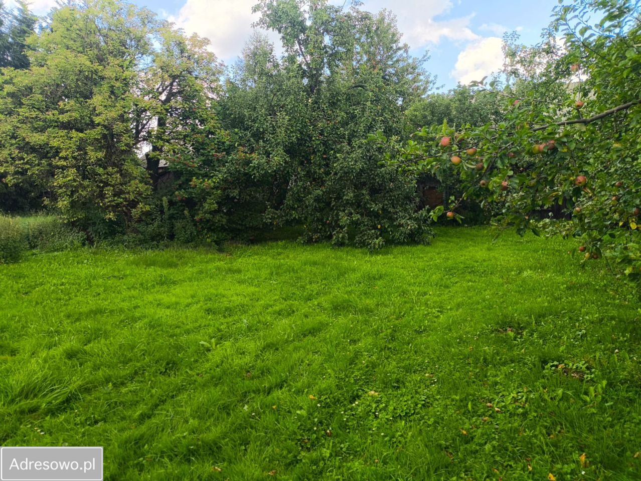 dom wolnostojący, 4 pokoje Majdan Górny, ul. Długa. Zdjęcie 3