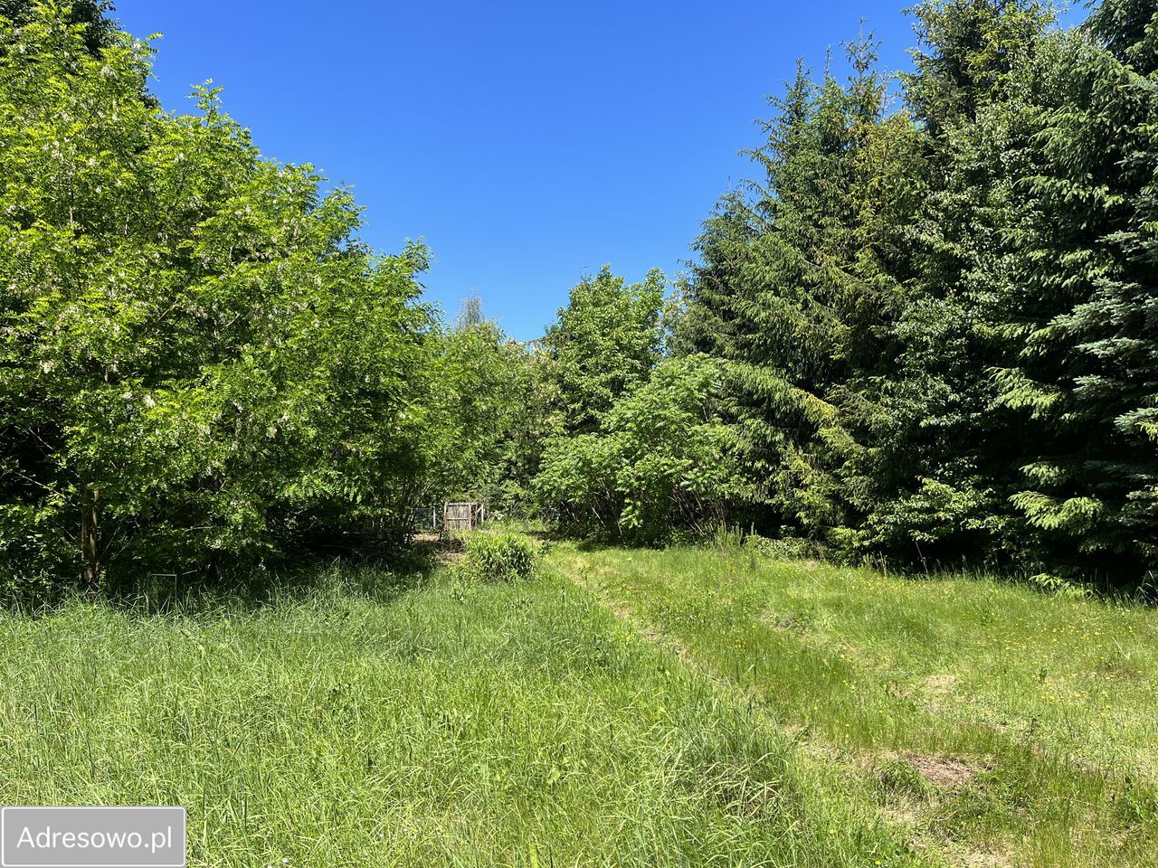 Działka rolno-budowlana Huta Jeżewska. Zdjęcie 13