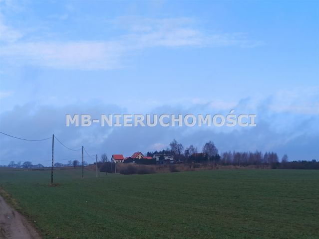 Działka budowlana Królikowo. Zdjęcie 4